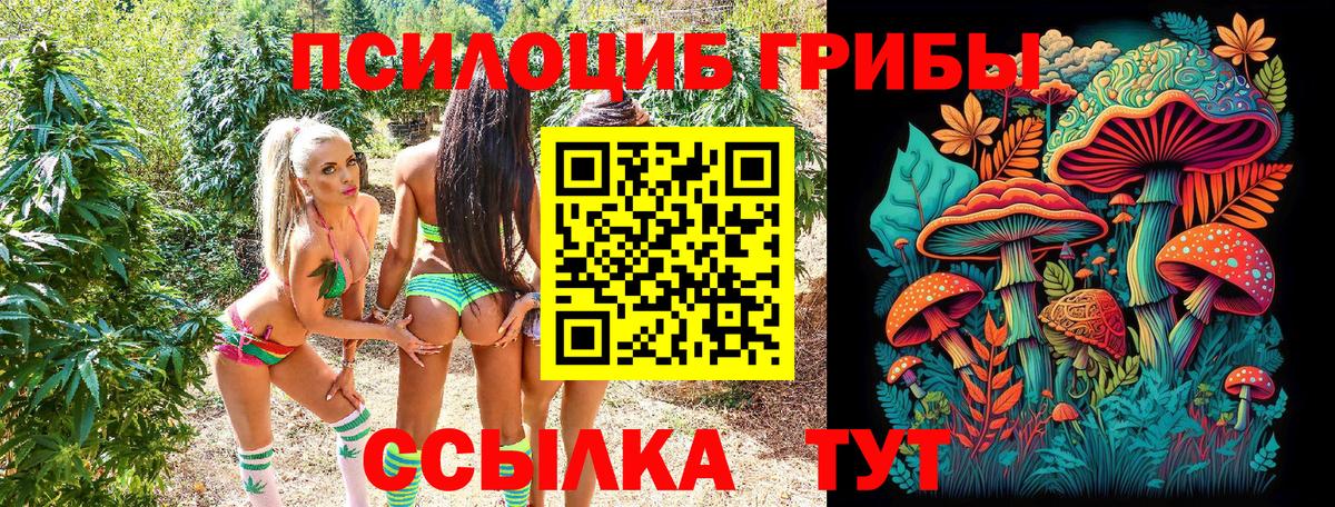 Рассказово  Псилоцибиновые грибы Cubensis  Вход с VPN 