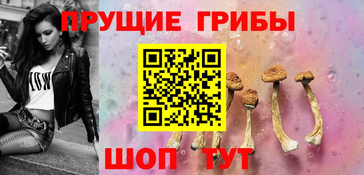 Псилоцибиновые грибы GOLDEN TEACHER Рассказово